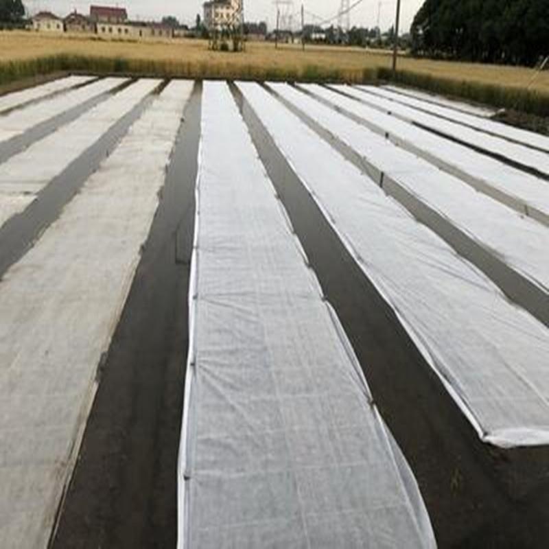 育秧无纺布水稻果树防霜冻防寒保温农用薄膜抗老化育苗布抗冻防寒