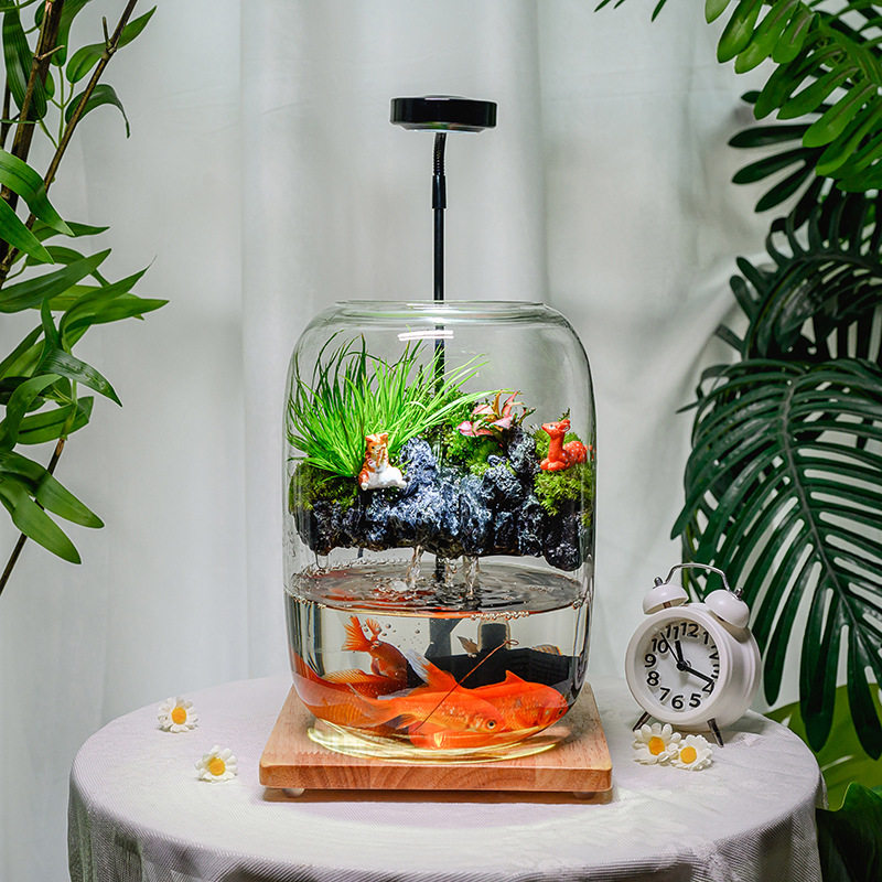 批发流水鱼缸玻璃花瓶真植物小猫钓鱼微景观水培植物瓶装饰小摆件
