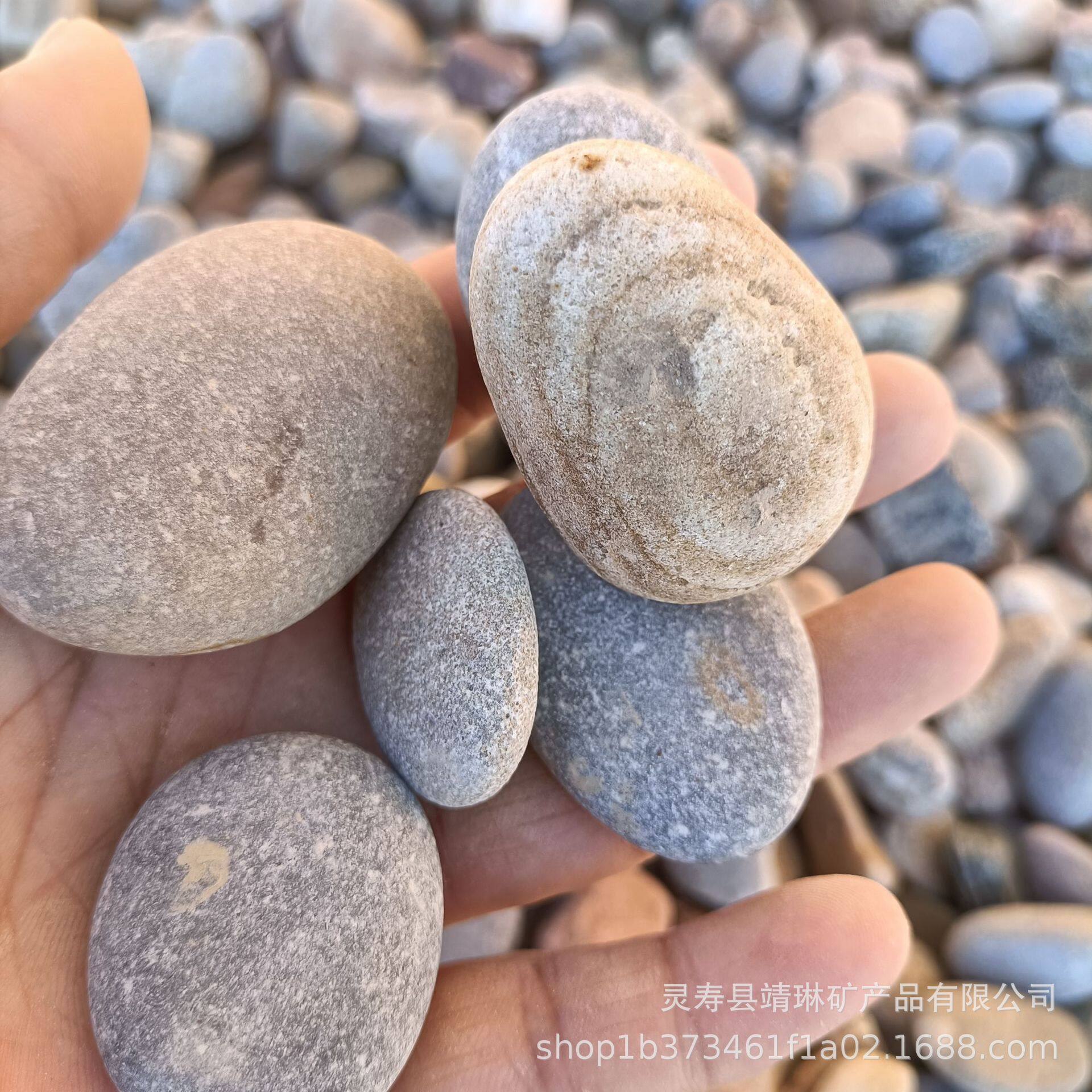 鹅卵石天然河卵石公园铺路大块造景鹅卵石变压器石各种规格