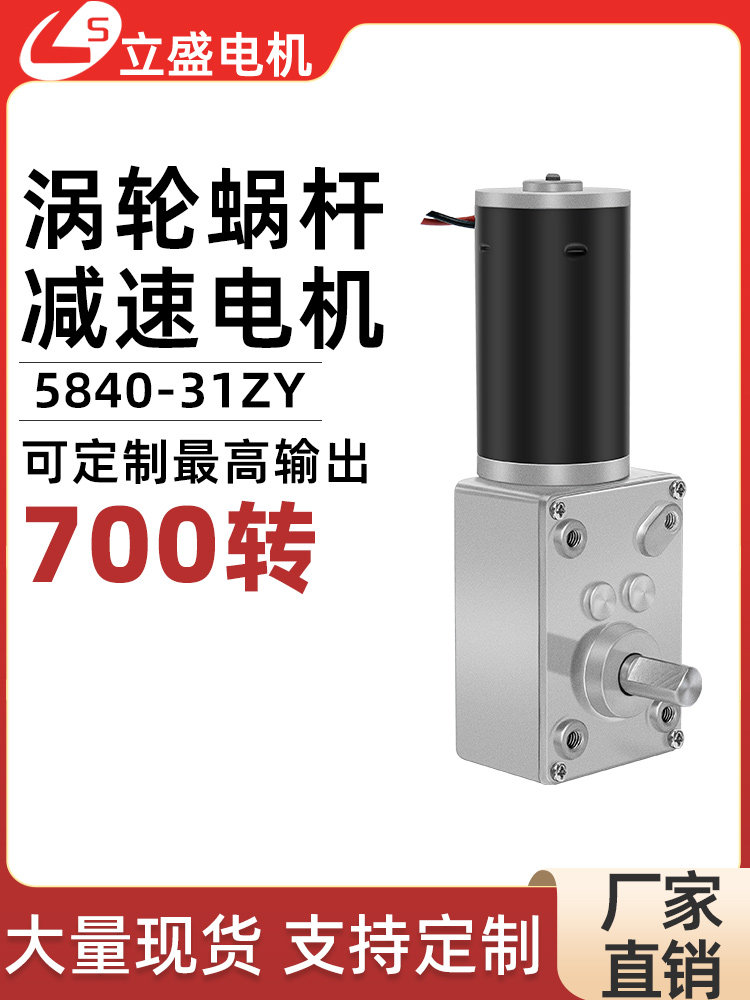 立盛5840-31ZY微型直流减速电机涡轮蜗杆自锁调速慢速马达12V24V