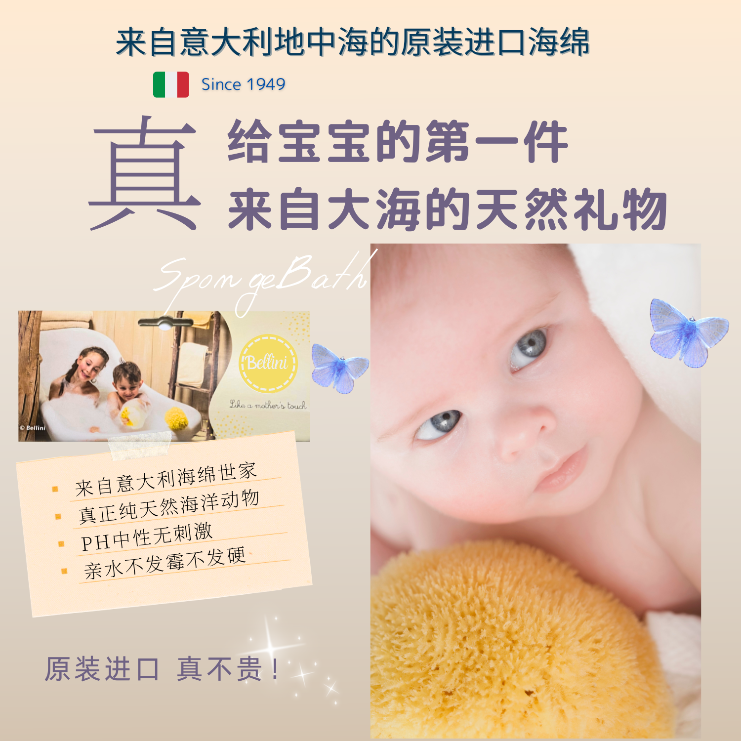 意大利原装进口Bellini天然海绵