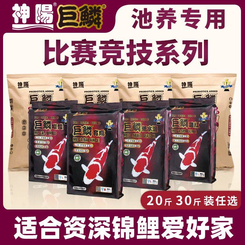 神阳巨鳞锦鲤饲料比赛级育成增体增色鱼粮易消化鱼饲料观赏鱼鱼食
