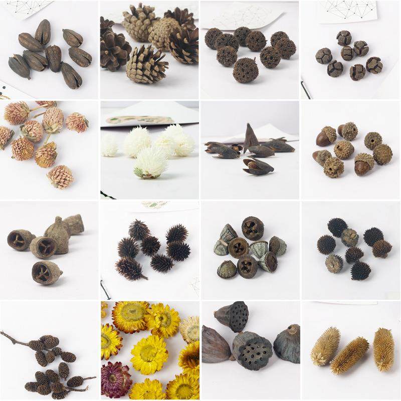 爆款干花橡果松果棉花莲蓬diy手工树枝教学幼儿园拍摄动手植物材,家居饰品,餐桌花艺,淘宝优惠券,粉丝福利购,淘宝优惠卷