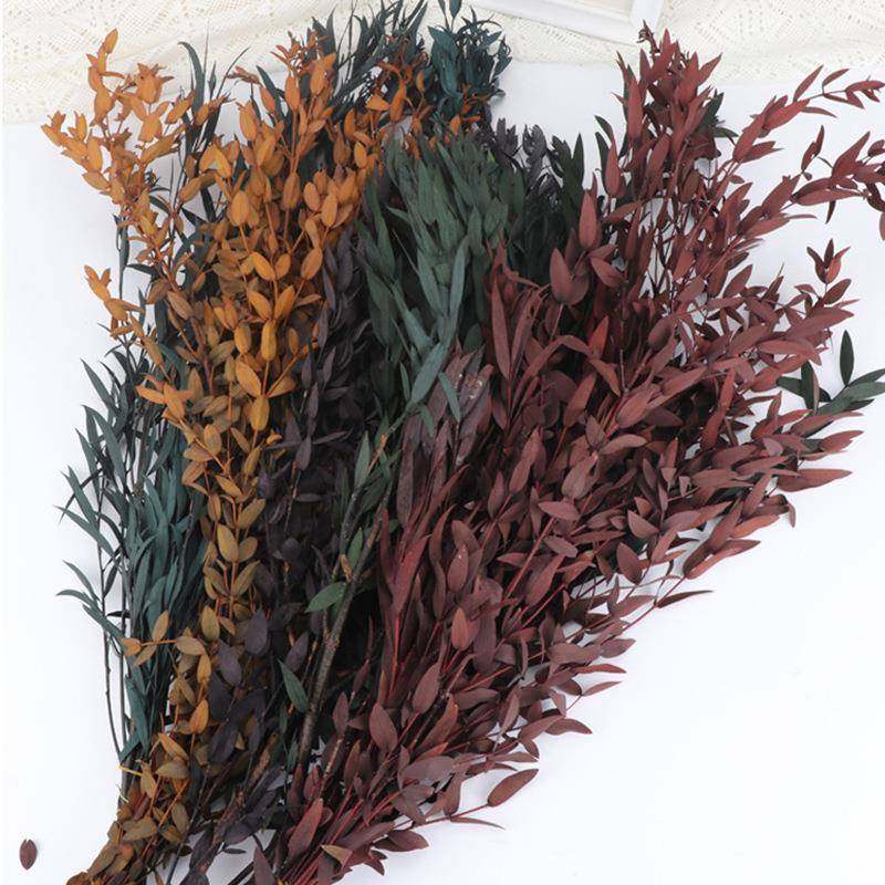 爆款永生细叶尤加利叶铜钱桉树叶家居装饰花材配材DIY花束桉细叶,家居饰品,餐桌花艺,淘宝优惠券,粉丝福利购,淘宝优惠卷