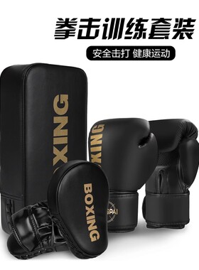 五龙官网儿童拳击手套专业成人拳套搏击训练亲子套装散打脚靶器材