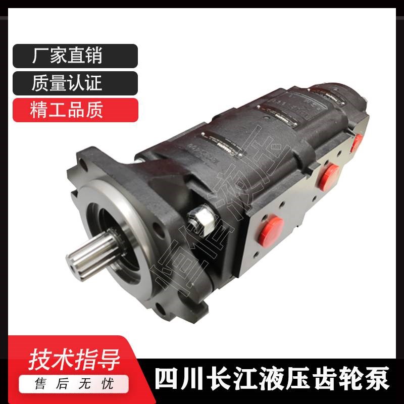 新款四川长江液e压泵GPC4a-63/20-218R双联齿轮泵 GPC40-50/20-A3