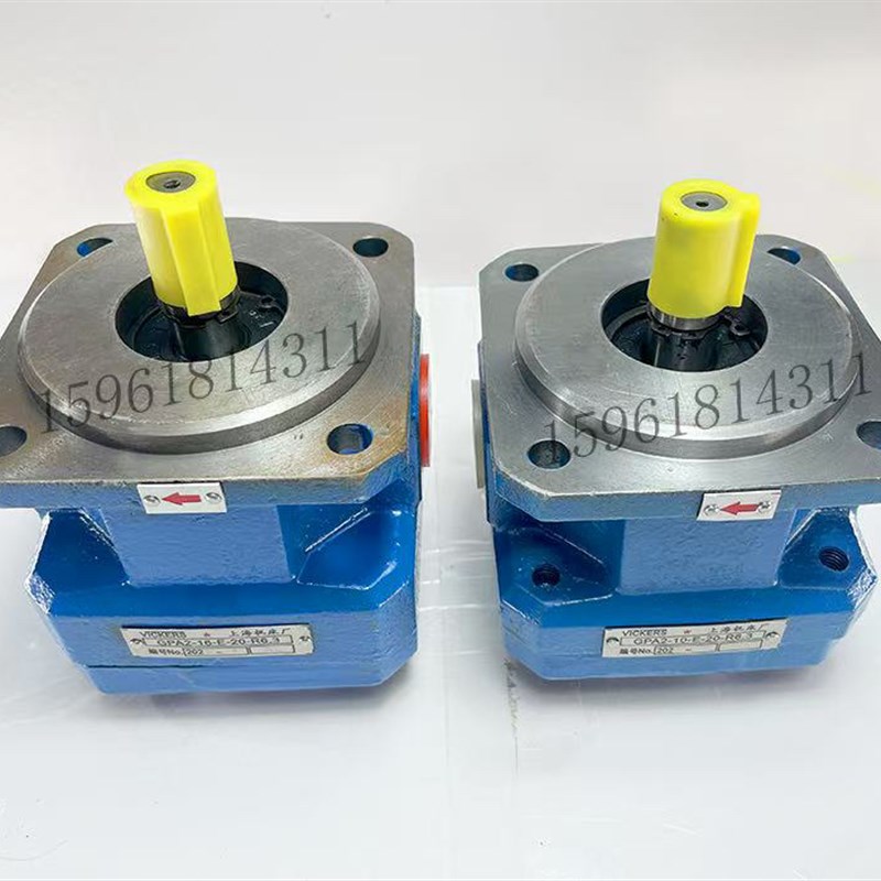 外圆磨床油泵M1432B磨床M13u32BGPA2-10-E-20R MQ1350齿轮油