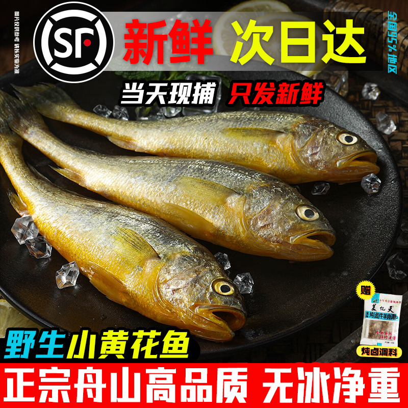 新鲜小黄花鱼生鲜烧烤商用