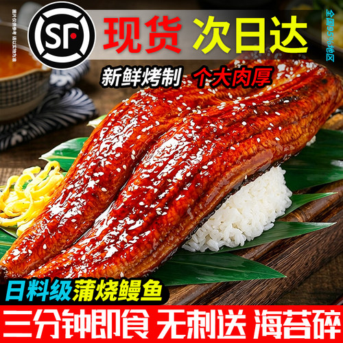 蒲烧鳗鱼加热即食日式烤鳗鱼饭新货鲜冻寿司专用半成品商用批发