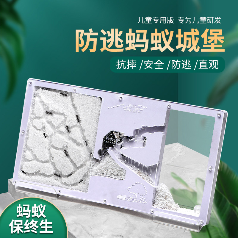 速发蚂蚁城堡m蚂蚁工坊养蚂蚁窝C果冻蚁巢工房家园超大生态沙巢庄