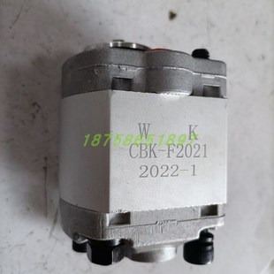 F2021 高压齿轮油泵 F2n042 F2058动力单元 液压润滑油 F2048 CBK