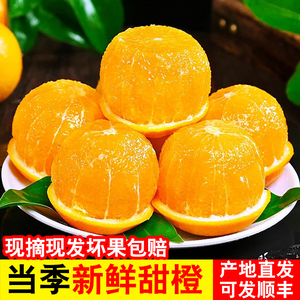 重庆奉节脐橙包邮新鲜采摘当季水果橙子孕妇手剥橙10斤装产地直发