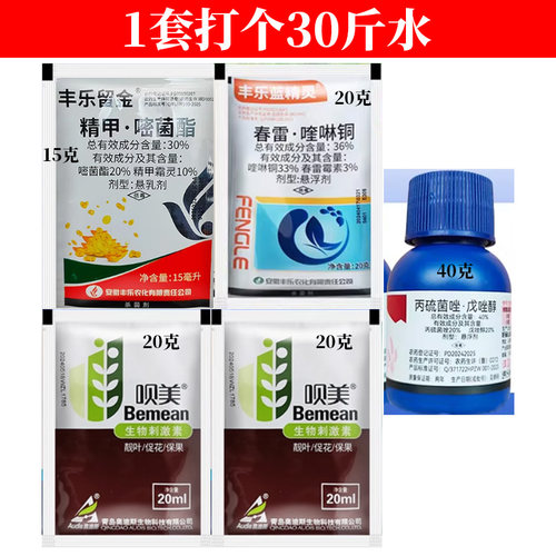 LS大蒜紫斑病叶枯病干尖黄叶营养组合解决方案