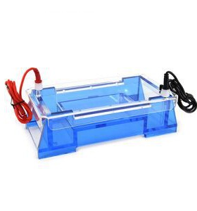 DYCP-32A型琼脂糖水平电泳仪(中号) 六一 仪器