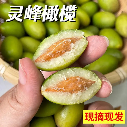 灵峰橄榄凌峰林峰金灶老树丛灵峰橄榄产地发货回味甘甜酥脆无渣