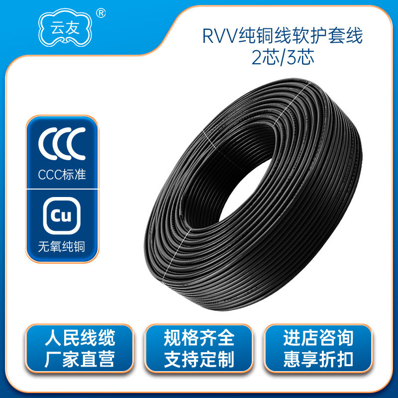 RVV2*10插头线电源线rvv2芯10平方护套线10平方2芯护套线铜芯线