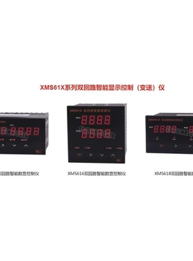 XMS614B XMS616B XMS618B双回路智能数显控制（变送）仪北京汇邦