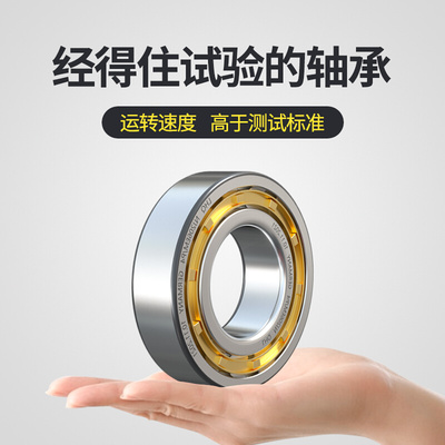 圆柱滚子NU/NJ304 305 306 307 308 309 310 311 312 313EM轴承