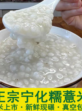 新鲜三明正宗宁化糯薏米