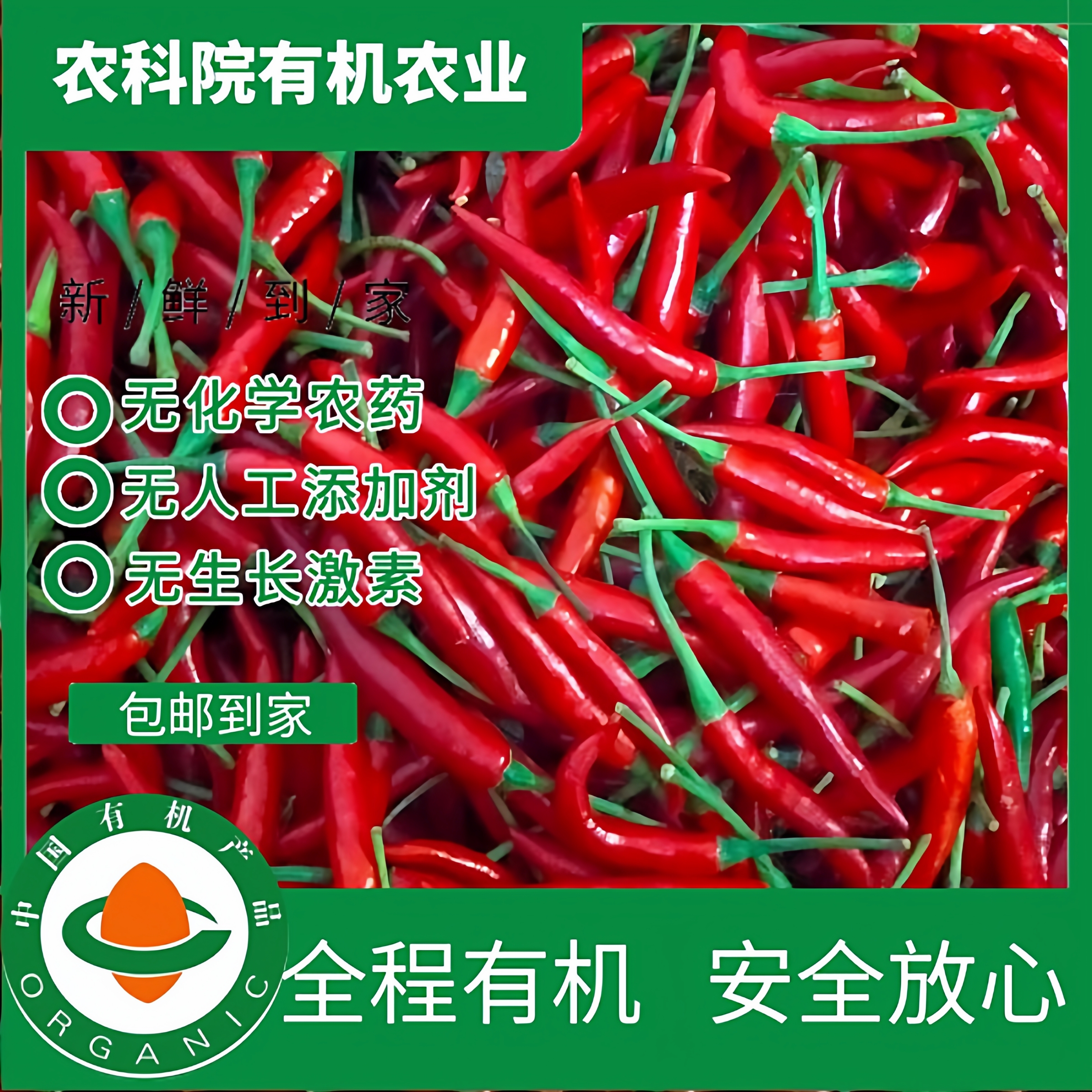 有机小米椒3斤 有机认证无农残 天然健康干辣椒朝天椒剁椒顺丰