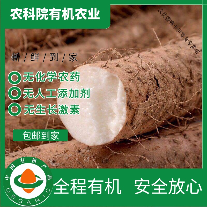 有机铁棍山药3斤 有机认证无农残 现挖现发营养美味新鲜天然 顺丰