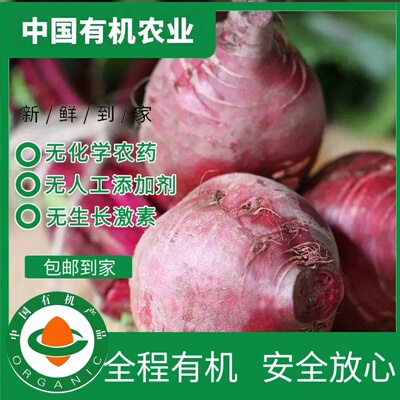 安疗榨汁无农残有机甜菜根