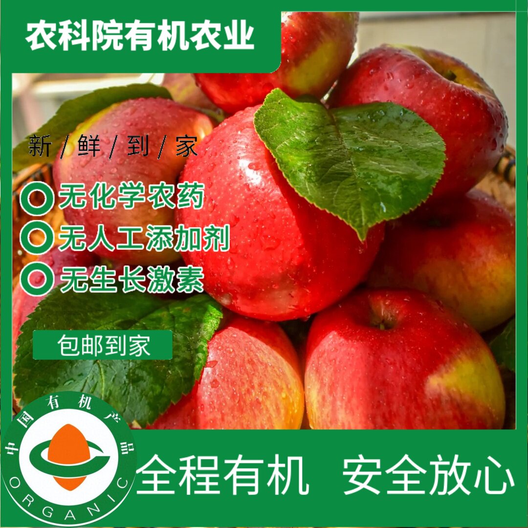 新上市有机苹果 新鲜应季现摘现发脆甜多汁不打蜡孕妇宝宝