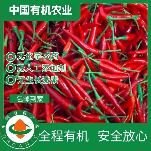 有机小米椒 有机认证无农残 天然健康干辣椒鲜辣椒朝天椒剁椒顺丰