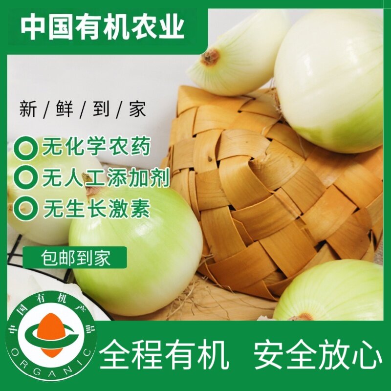 有机白洋葱新鲜蔬菜有机认证当季无农药烹炒美味沙拉生吃