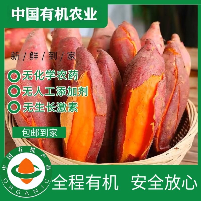 有机红薯地瓜5斤 有机认证无农残 香甜软糯蒸烤美味辅食顺丰