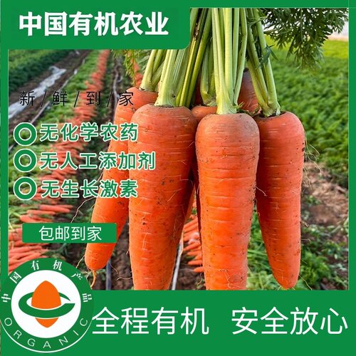 有机胡萝卜无农药榨汁