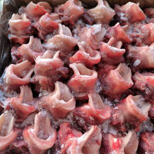 猪喉骨20斤猪喉头新鲜冷冻软骨猪脆骨烧烤麻辣烫生鲜食材商用