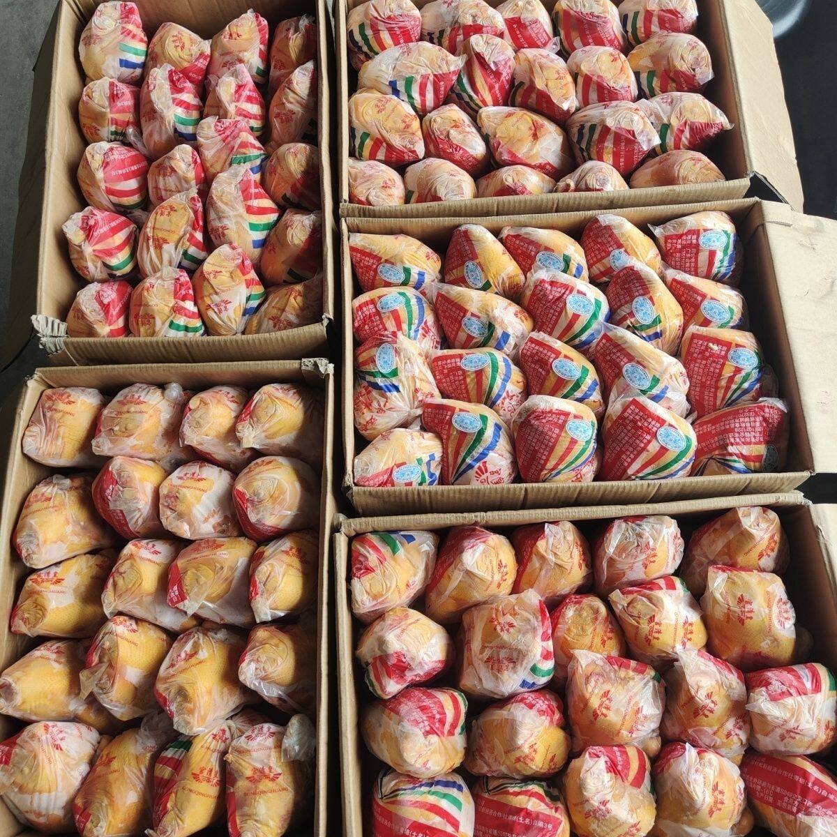 广东清远鸡宫鸣皇嫩鸡三黄走地鸡