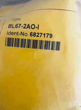 【顺庆】BL67-2AO-1图尔克模块【议价】