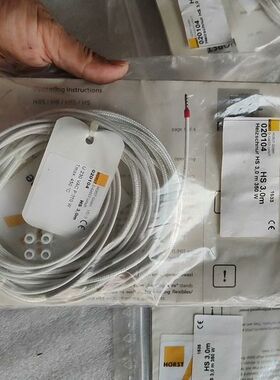 【顺庆】HORST GmbH，D-64653 Lorsch【议价】