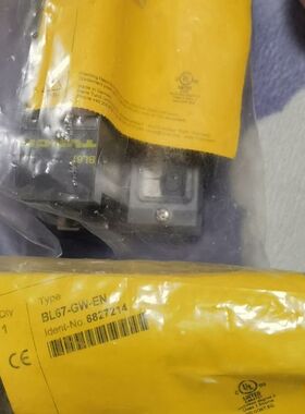 【顺庆】图尔克模块BL67-GW-EN BL67-GW-DPV1【议价】