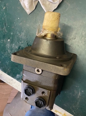 【顺庆】LOSI液压马达EPMS-W80C液压马达现货一台库存全新未【议