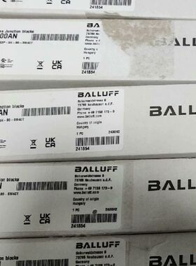 【顺庆】巴鲁夫模块BPI00AN【议价】