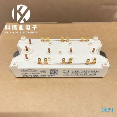 【顺庆】SKM75GDL123D IGBT模块Modules 75A【议价】