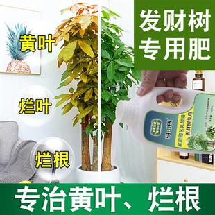 发财树肥料室内专用肥营养液龙血树铁树平安幸福通用植物花草盆栽