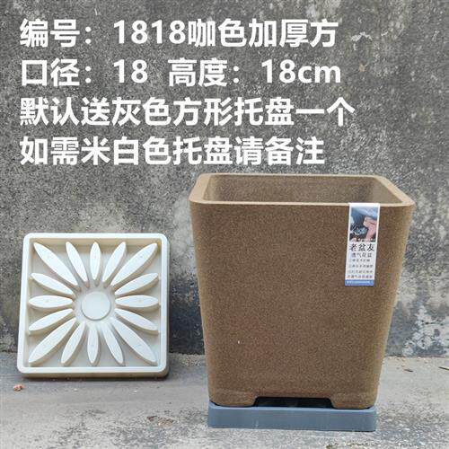 1818透气花盆XTOU会呼吸的兰花老桩多孔陶瓷红陶紫砂君子兰