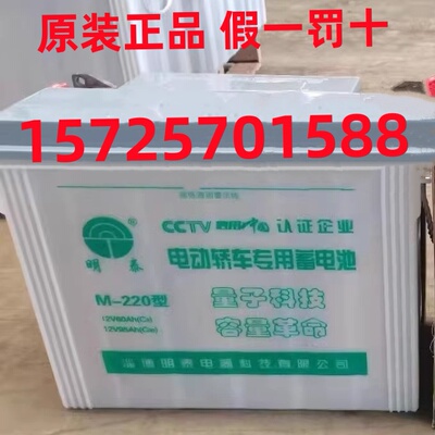 明泰蓄电池M-220型环卫清运车