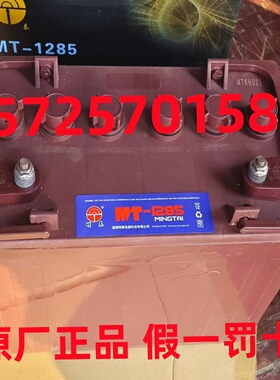 明泰蓄电池MT-1285高尔夫球车 观光巡逻车12V185AH环卫清运车电瓶