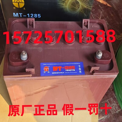 明泰蓄电池MT-1285观光巡逻车