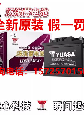 YUASA汤浅汽车电瓶 适配长城C30 腾翼C20R雷凌宝骏LBN1/12V蓄电池