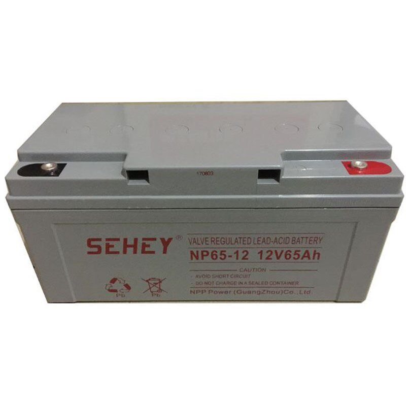 SEHEY西力蓄电池12V65AH SH65-12西力12V6M5AH免维护电池UPS太阳