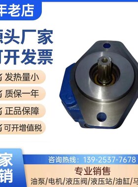 新款天津泊b姆克双联齿轮油泵P124B182XDZA05-54PBZA02-1煤矿包邮