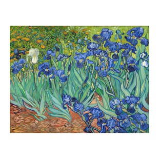 凡高油画vanGoghr梵高鸢尾花世界名画保罗盖蒂博物馆手绘复制品