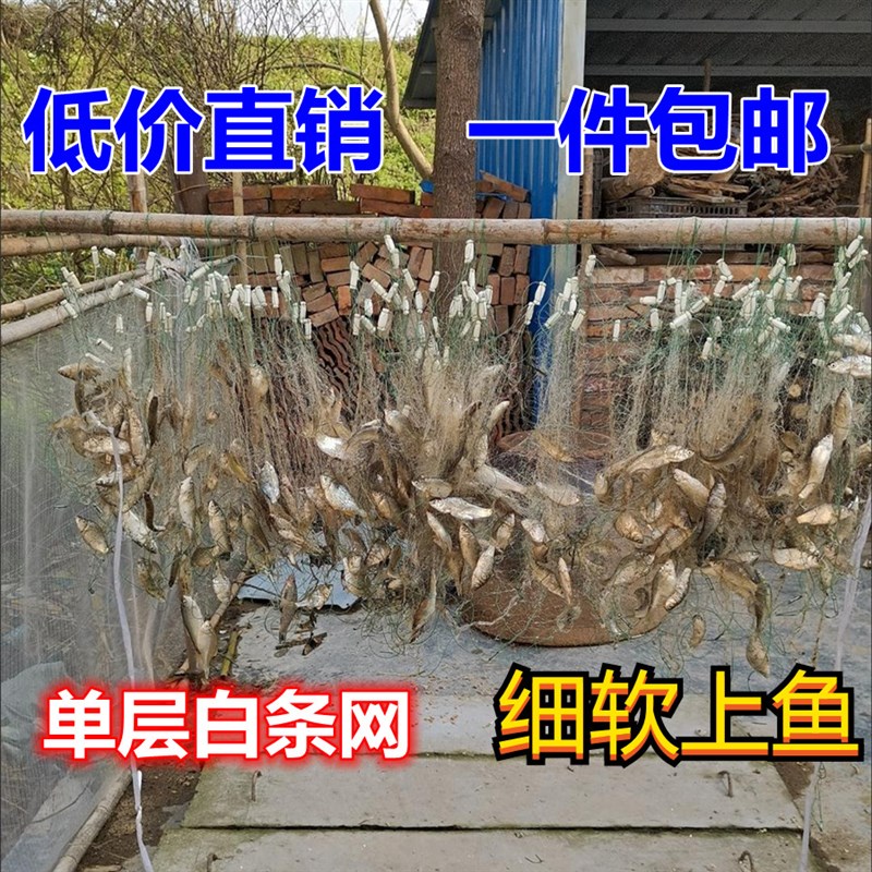热销柔丝单层粘网鱼网丝网挂白条小网6分7分8分9分1寸眼5.0米长1