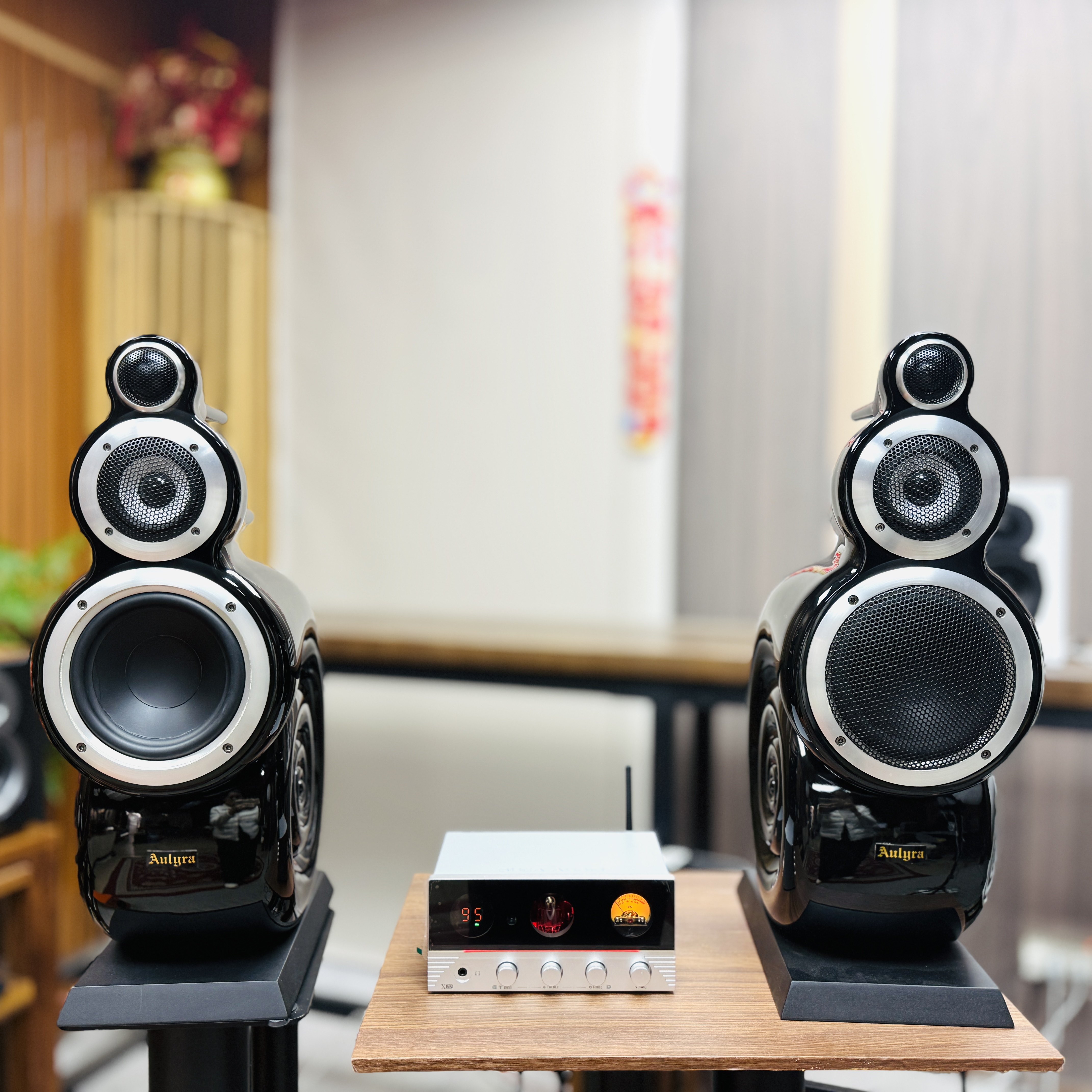 Aulyra 欧尼路 【小鹦鹉5寸+x10功放机 】三分频 HIFI 组合